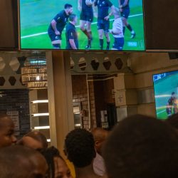 Griffilee_Rugby world cup-13
