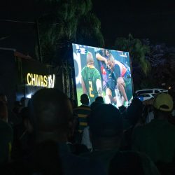 Griffilee_Rugby world cup-31