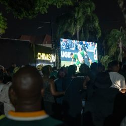 Griffilee_Rugby world cup-32